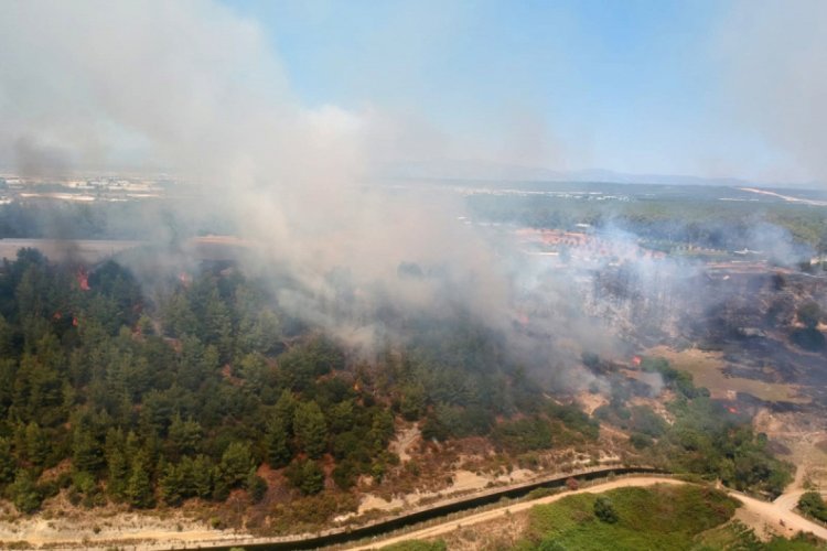 Aksu'da orman yangını