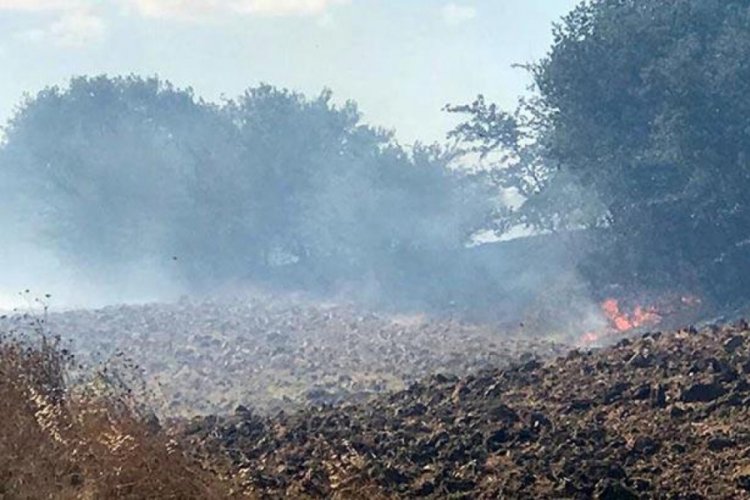 Tekirdağ'da orman yangını