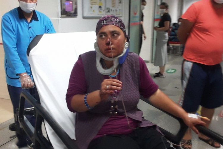 Hayvanlarını kontrol ederken burnuna demir şiş saplandı