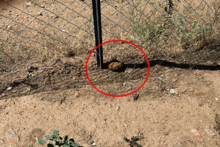 Kurtuluş Savaşı'ndan kaldığı tahmin edilen el bombası imha edildi