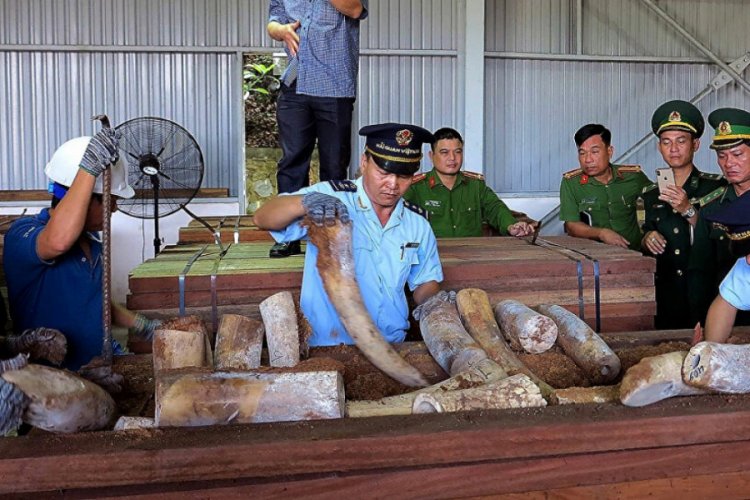 Vietnam'da vahşi hayvan ticareti yasaklandı