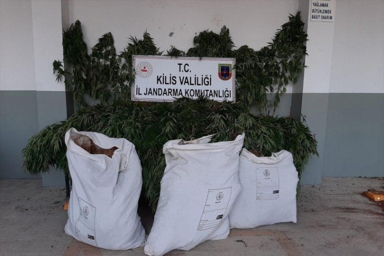 43,2 kilogram esrar ele ge&ccedil;irildi