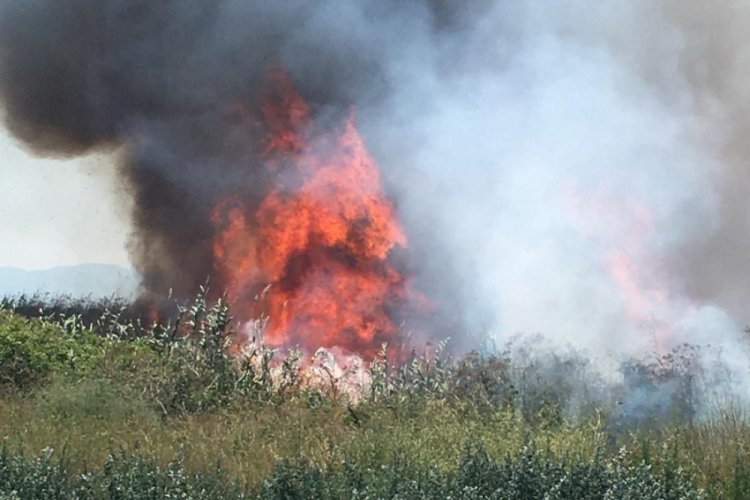 Bursa İznik'teki yangın s&ouml;nd&uuml;r&uuml;lemiyor, b&ouml;lgeye takviye ekipler g&ouml;nderildi