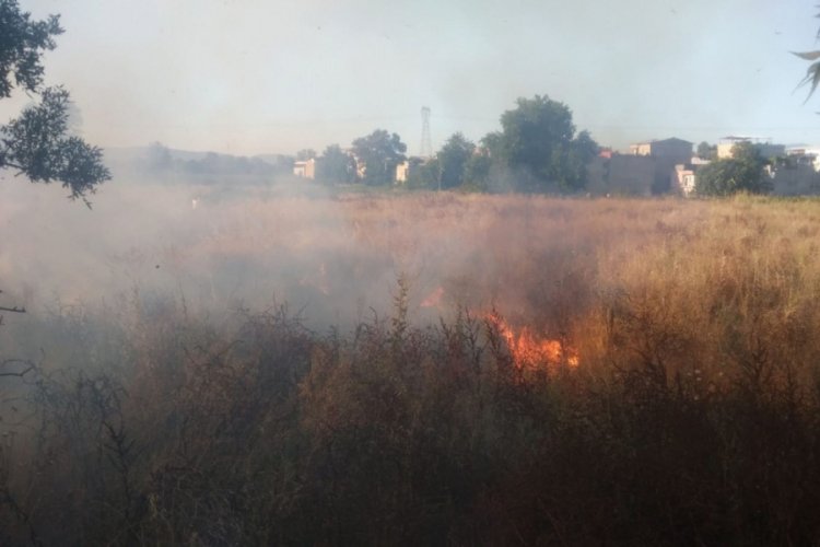 Bursa Paşa&ccedil;iftliği'nde korkutan yangın