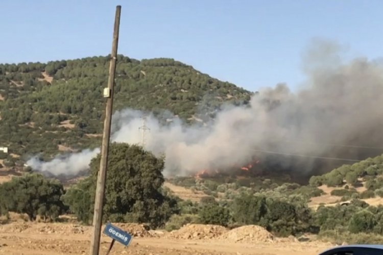 İzmir'de orman yangını