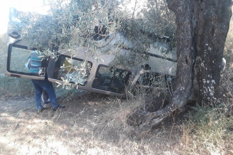 Kontrolden &ccedil;ıkan ara&ccedil; tarlaya u&ccedil;tu