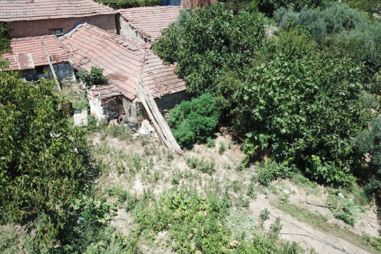 Evin bah&ccedil;esini kenevir tarlasına &ccedil;evirmiş