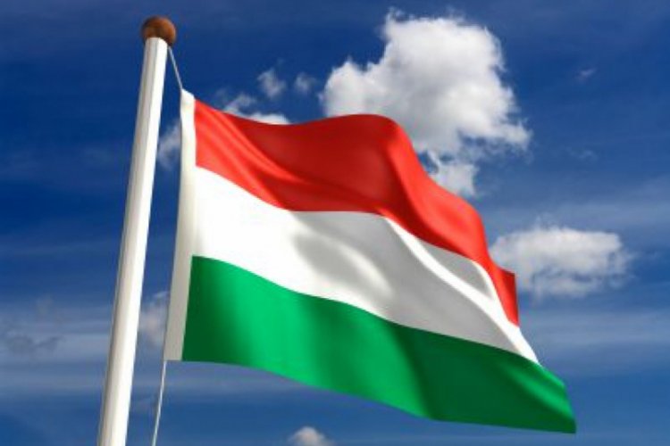Macaristan'da "&ouml;zg&uuml;r basın" protestosu