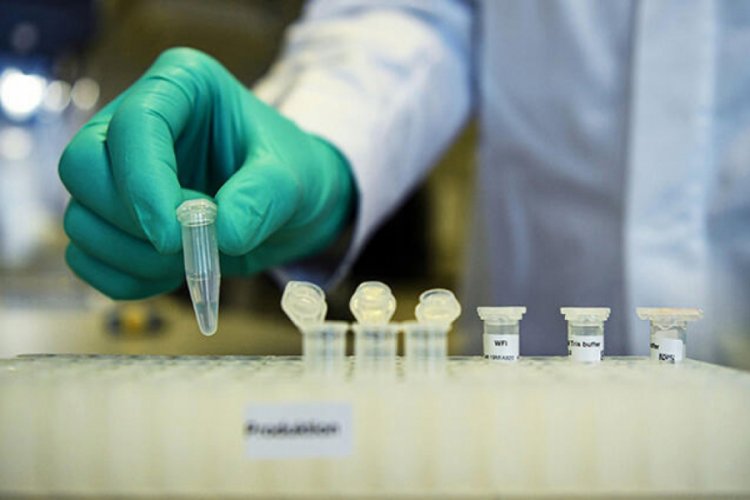 Avusturya'ya riskli olarak belirlenen &uuml;lkelerden girişlerde koronavir&uuml;s testi zorunluluğu