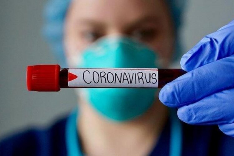 D&uuml;nya genelinde yeni tip koronavir&uuml;s vaka sayısı 16 milyonu aştı