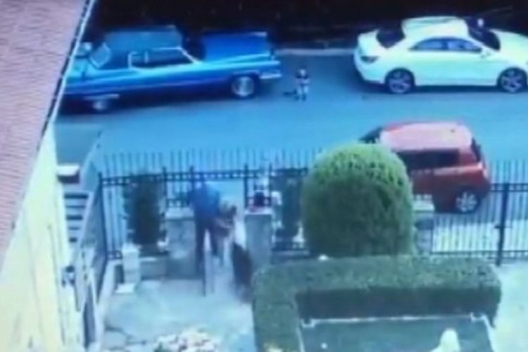 K&ouml;peğin silahla &ouml;ld&uuml;r&uuml;ld&uuml;ğ&uuml; anlar kamerada!