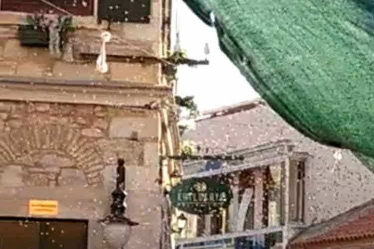 Urla'yı arılar bastı, g&ouml;renler şaşırdı