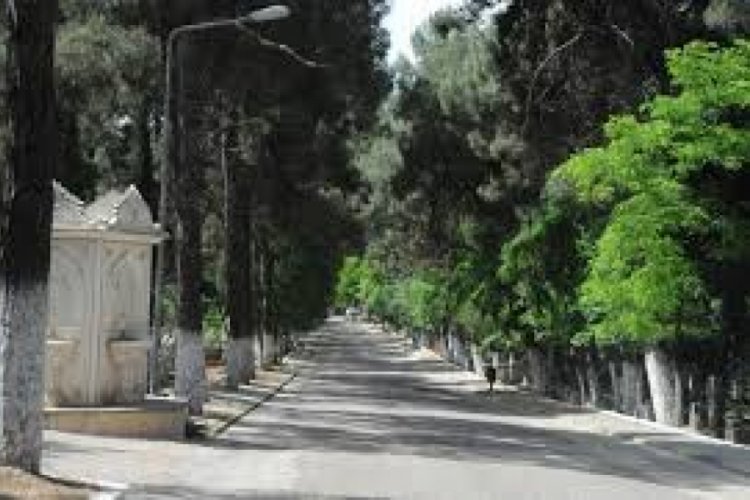 Mezarlık ziyaretleri yasaklandı