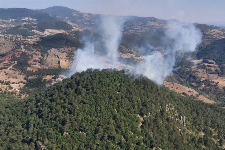 Bursa Büyükorhan'da orman yangını