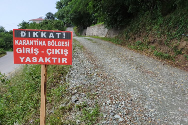 Ordu'da bir mahalle karantinada!