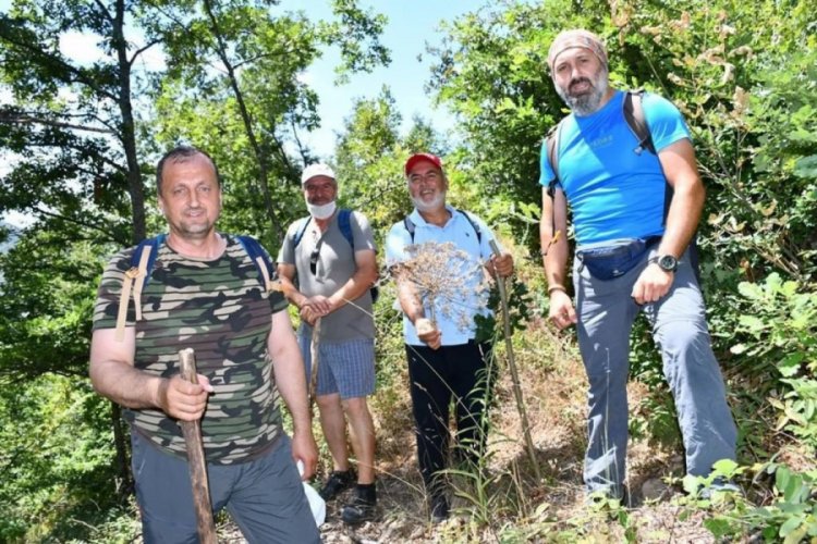 Bursa'nın saklı g&uuml;zelliklerinden Tacir Kanyonu ziyaret&ccedil;ilerini bekliyor
