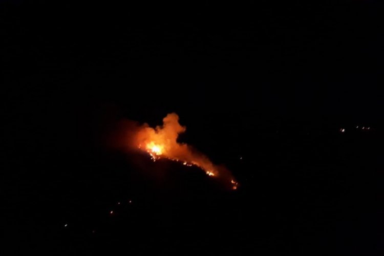 Sinop'ta orman yangını yeniden alevlendi