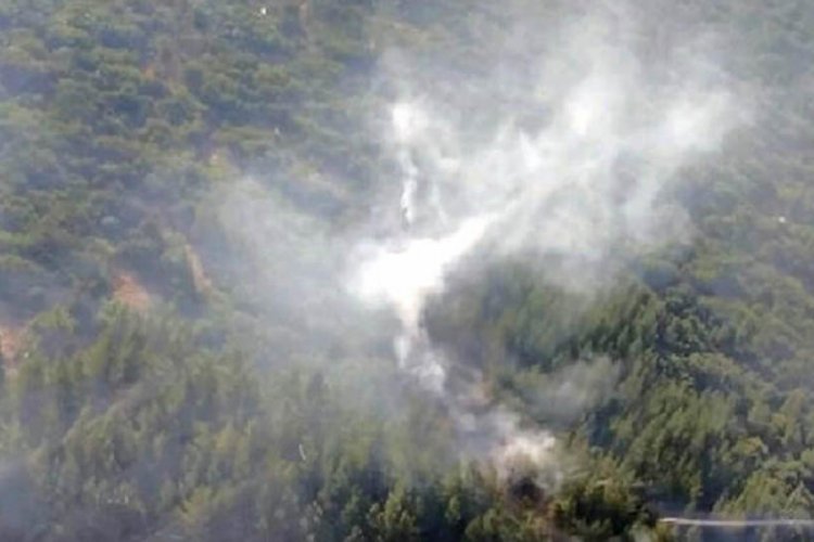 Kahramanmaraş'ta ormanlık alanda yangın