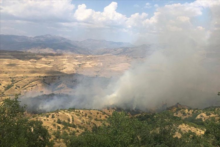 Siirt'te ormanlık alanda yangın &ccedil;ıktı