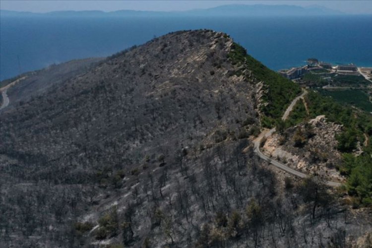 Menderes yangınından geriye kalanlar y&uuml;rekleri yaktı