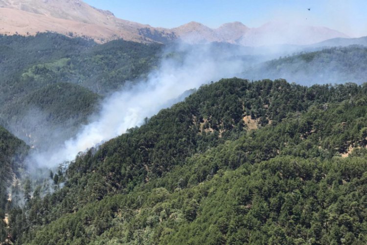 Karacabey: Ge&ccedil;en yıla g&ouml;re yangın sayısında y&uuml;zde 30'luk bir artış g&ouml;r&uuml;yoruz