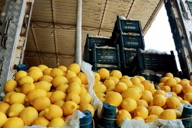 Limon ihracatında &ouml;n izin şartı kalktı