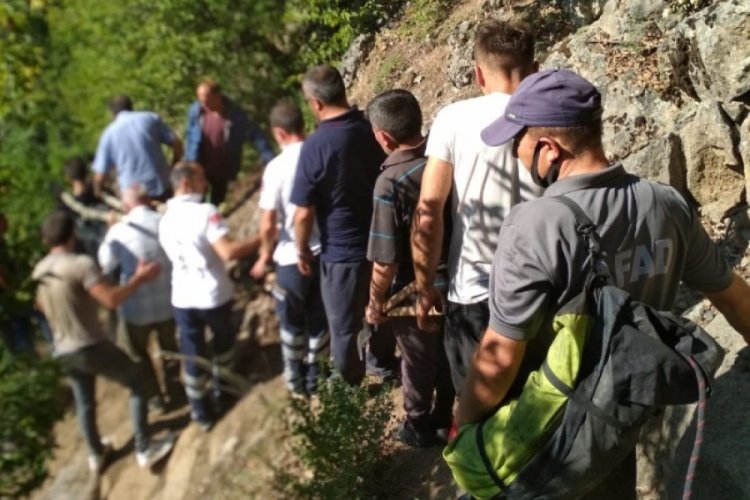Artvin'de u&ccedil;uruma d&uuml;şen kadın hayatını kaybetti
