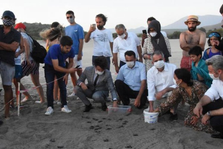 B&ouml;yle giderse sayıları 20 bini bulacak!
