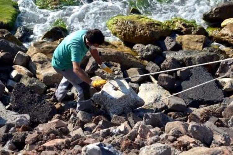 Deniz kenarında tarihi eser bulundu