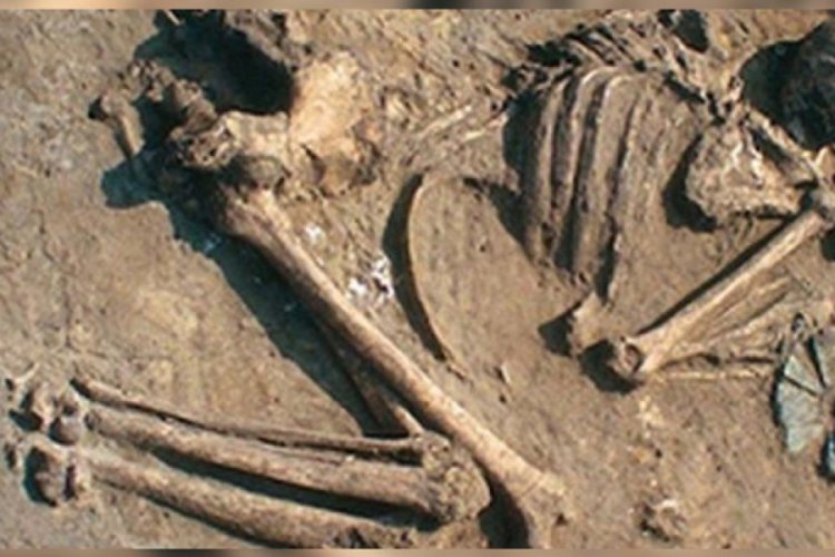 6 bin 600 yıllık mezarlıktan çıkan sonuç şaşırttı