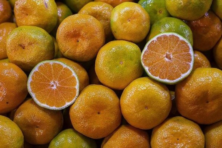 Narenciye ihracatından 7 ayda &uuml;lke ekonomisine &ouml;nemli katkı