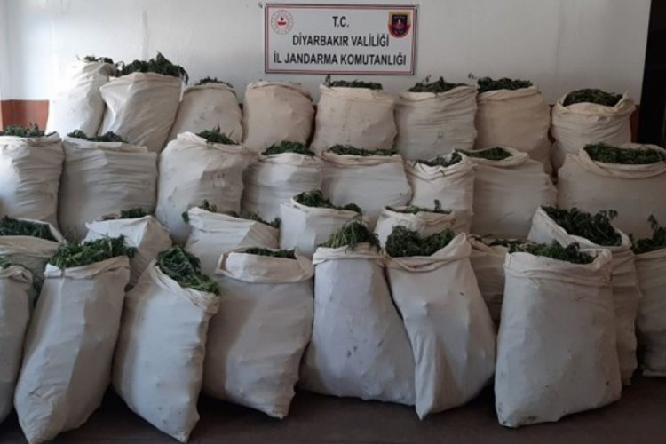 1 milyon 119 bin k&ouml;k kenevir ve 756 kilogram esrar ele ge&ccedil;irildi