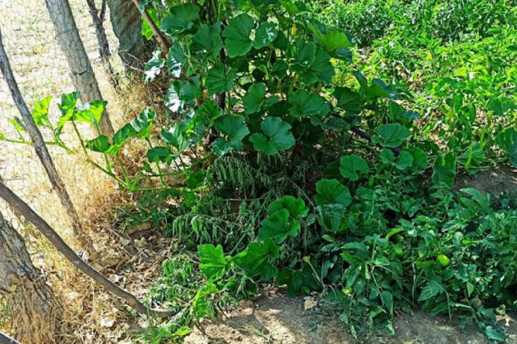 Uyuşturucu operasyonu: 1 g&ouml;zaltı