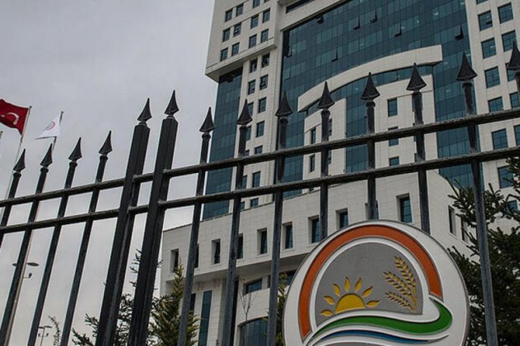 T&uuml;keticinin sal&ccedil;a benzeri soslarla yanıltılmasına &ouml;nlem