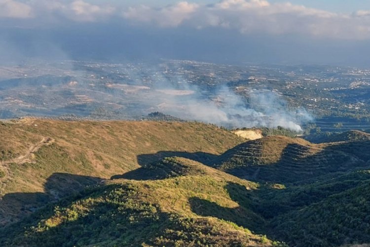 Hatay'da zeytinlik yangını