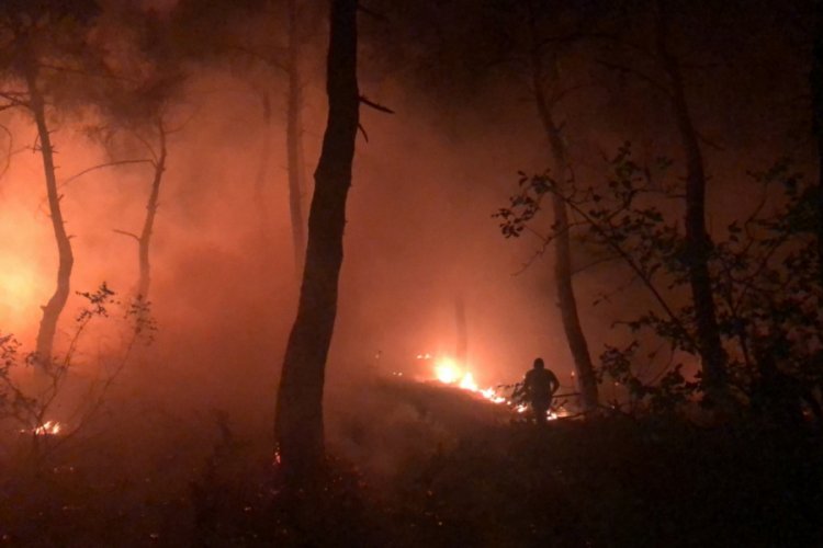 Bursa'da gece yarısı orman yangını!