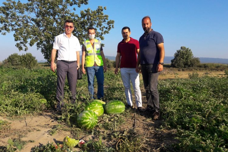 Bursa Mustafakemalpaşalı &ccedil;ift&ccedil;inin y&uuml;z&uuml; yeni gelir kaynaklarıyla g&uuml;lecek