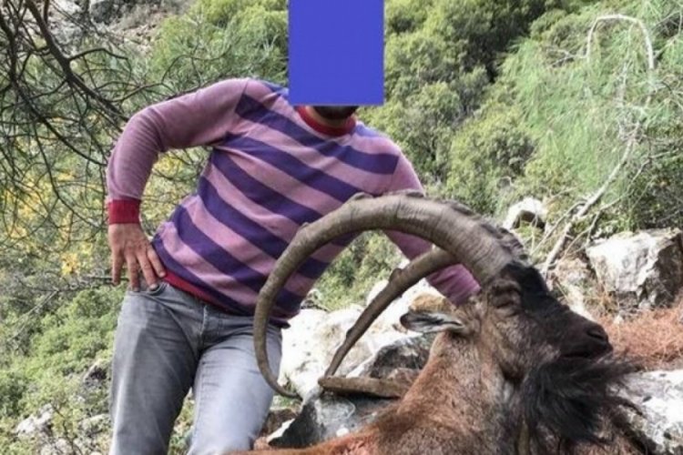 Sosyal medyaya koyduğu fotoğraf 23 bin liraya mal oldu