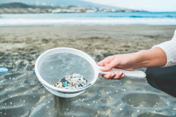 Yeni &ouml;l&uuml;mc&uuml;l salgınlara deniz ve okyanuslardaki plastik kirliliği neden olacak