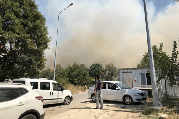 Bursa'daki orman yangınını &ccedil;ıkartan ş&uuml;pheli g&ouml;zaltında!