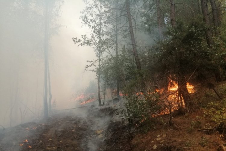 Orman yangınında 3 kişi g&ouml;zaltına alındı