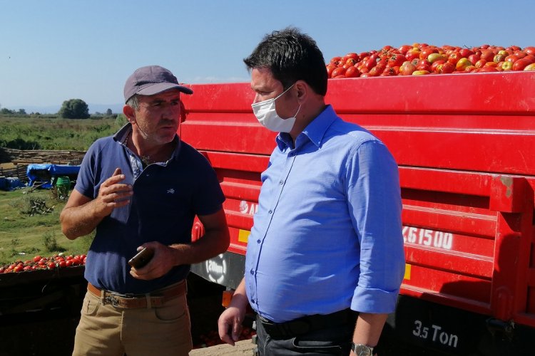 Bursa Milletvekili Aydın: "Tarım &ccedil;&ouml;kerse &uuml;lke &ccedil;&ouml;ker"