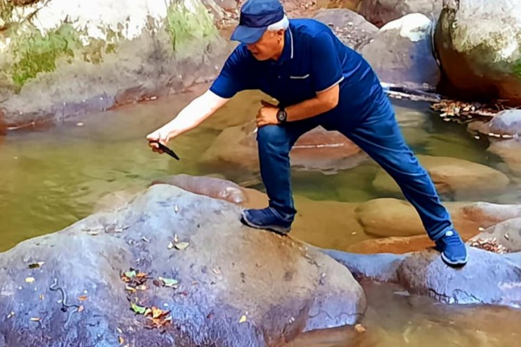 K&uuml;re Dağları'nda k&uuml;peli su yılanı g&ouml;r&uuml;ld&uuml;