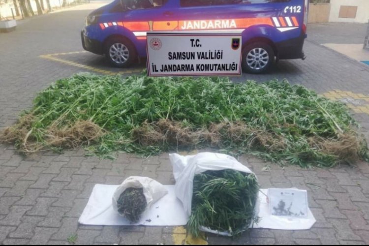 Jandarma zehir tacirlerine k&ouml;k s&ouml;kt&uuml;rd&uuml;!
