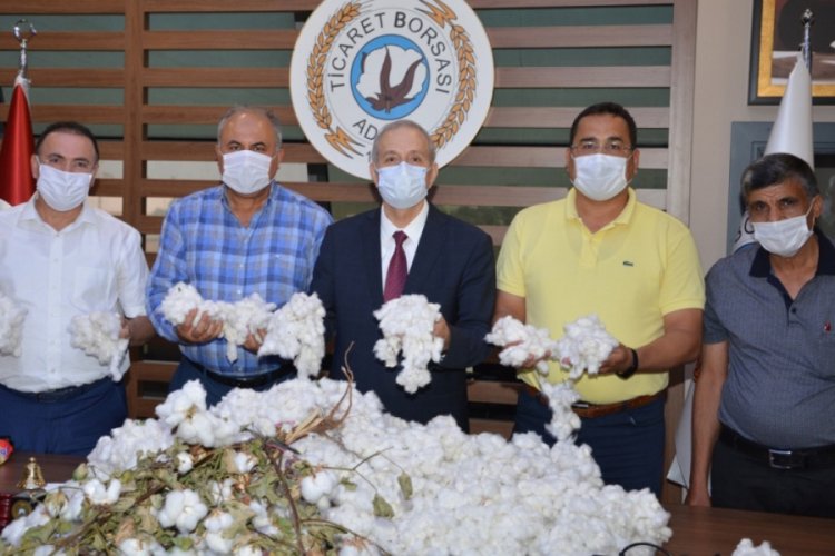 Sezonun ilk kütlü pamuğu ATB'de 55 liradan sembolik olarak satıldı 