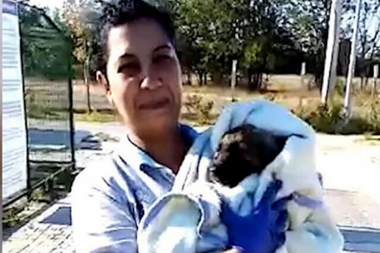 Zifte bulanan yavru k&ouml;peği kurtarıp, bakımını yaptılar
