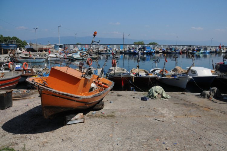Balık&ccedil;ıların yeni sezonda umudu palamut ve &ccedil;upra