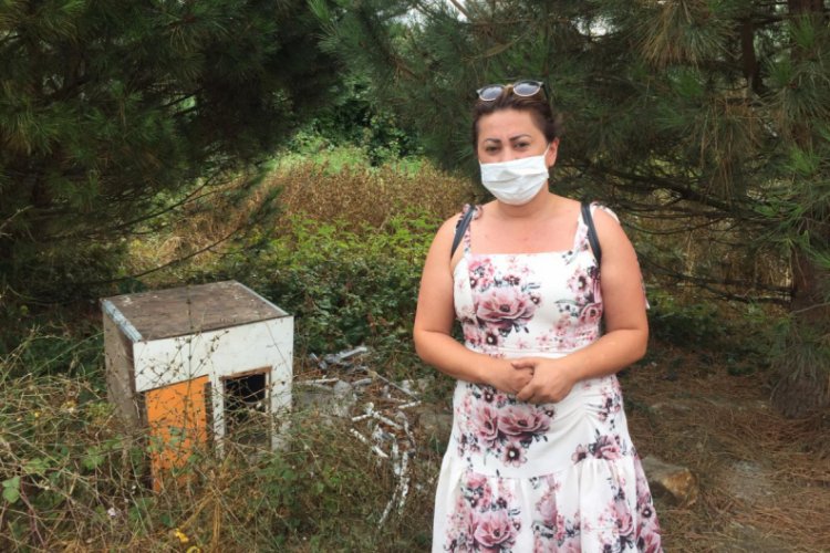Kaybolan 27 k&ouml;pek i&ccedil;in kazı yapıldı