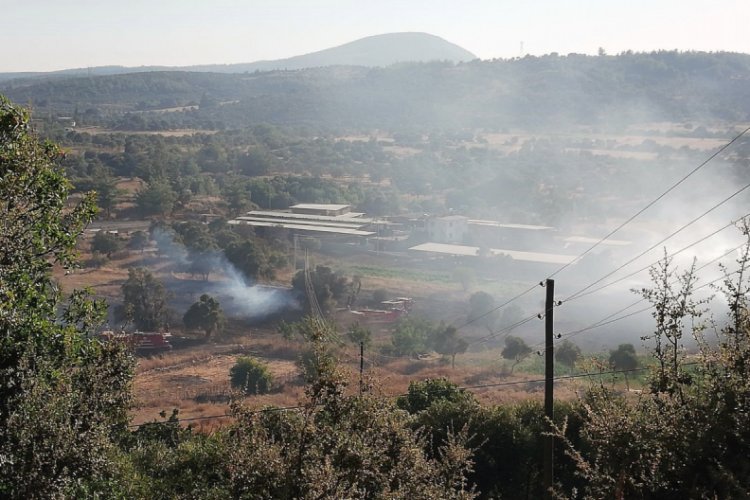 Muğla'da tarla yangını