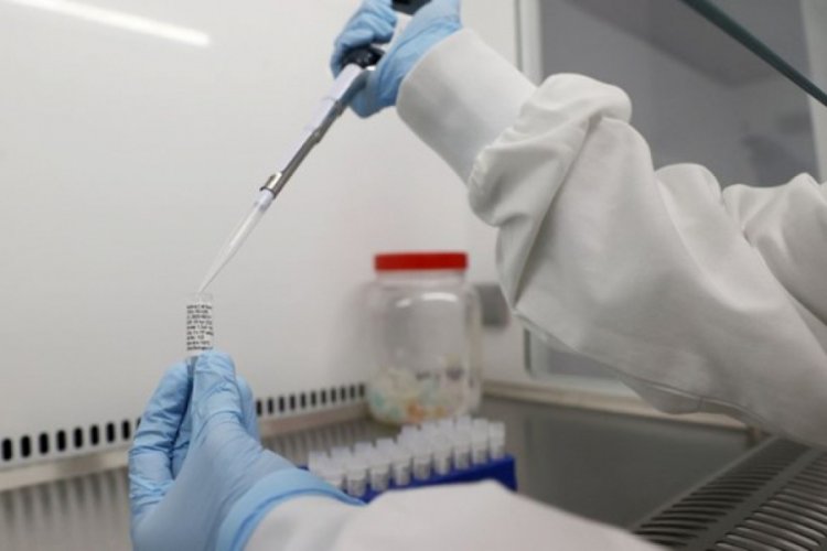 Pfizer: Corona vir&uuml;s aşımız ekimde d&uuml;zenleyici incelemeye girecek